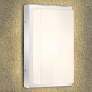 Udendørs LED-væglampe Julea, stål, glas