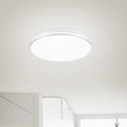 Paul Neuhaus Q-BENNO LED-loftlampe