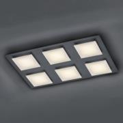 BANKAMP Ino LED-loftlampe, 6 lyskilder, antracit