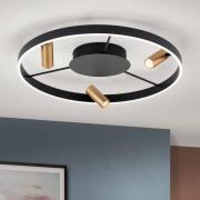 Berlin LED-loftlampe med tre spots