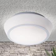 Pia glasloftlampe med IP44, 38 cm