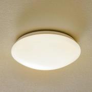 Paulmann Leonis LED-loftlampe 3.000 K, Ø 28 cm