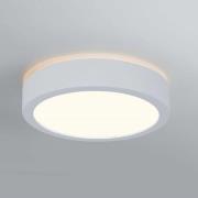 Paulmann Aviar LED-loftlampe Ø 22 cm hvid 3.000 K