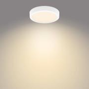 Philips Slim Surface 2.700K rund 21 cm hvid