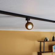 Prios Felipo 1-faset skinnespot, sort