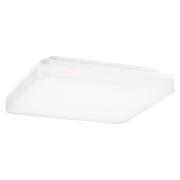 Paulmann Cela LED-panel 28x28cm, WhiteSwitch