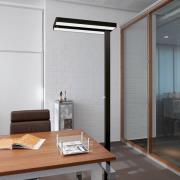 LED-gulvlampe MAULjuvis, sort, 196 cm base dæmpbar