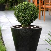 LED jordlys Spinetoli 2, sæt med 6 med jordspyd