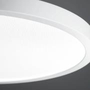 LED-pendellampe VIVAA 2.0 Ø45cm kabel hvid 4.000K