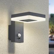 Lindby Laira udendørs LED-solcellelampe, 15,5 cm