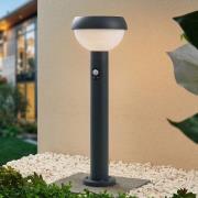 Lindby Kallie LED-solcellegadelampe og sensor