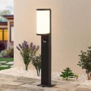 Lucande Jokum LED-gadelampe, IP54, 60 cm, sensor