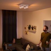 Philips Hue Buckram 4 lyskilder, dæmper, hvid