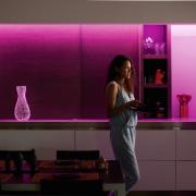 Philips Hue LightStrip Plus 1 m forlængerledning