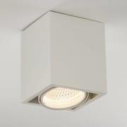 Arcchio Cirdan LED-loftslampe, 1-lys