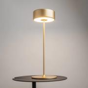 Maytoni genopladelig LED-bordlampe AI Collaboration, aluminium, guld