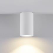 Downlight CAN, hvid, IP20, Ø 6 cm, metal, GU10