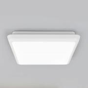 Arcchio LED-loftlampe Augustin, 25 x 25 cm, hvid, IP54