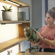 OSRAM LED-underskabsbelysning Linear Edge Sensor 50 cm sort CCT