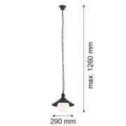 Udendørs hængelampe Enduro, sort, stål, glas, IP44, E27