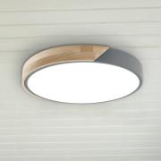 LED-loftlampe Borneo, eg, metal, CCT, fjernbetjening