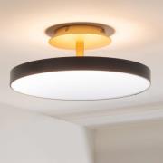 UMAGE LED-loftlampe Asteria UP PLUS, antracit Ø 43 cm CCT