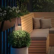 LED-lampe med jordspyd RIFFLE NANO, antracit Ø 6 cm, 2-pak