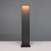 LED-vejlampe Ravi, antracit, højde 100 cm, metal, IP65