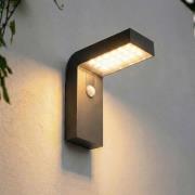 Prios LED-solcellelampe Aurino, sort, sensor, IP44