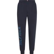 Blå Sport Joggers Regular Fit