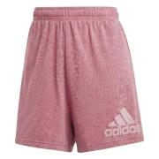 Future Icons Vinder Shorts