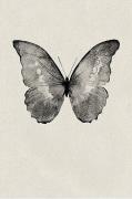 Plakat Black Butterfly