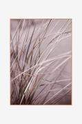 Malerifabrikken - Billede Spec. Mellow grasses 1 - Rød - Billeder - - ...