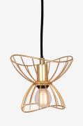 Globen Lighting - Loftlampe Ray 16 - Messing - Loftpendler - - Homeroo...