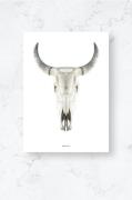 Malerifabrikken - Plakat/Cow skull/Plano - Hvid - Posters - - Homeroom