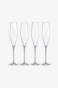 Zelected by Houze - Champagneglas Grace Flute 4-p - Transparent - Ving...