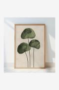 Pelcasa - Grønne blade - Beige - Posters - - Homeroom