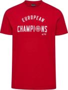 Hummel DBU Danmark 24 Tshirt Voksen L - T-shirts hos Magasin