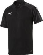 Puma Ascension Polo S - T-shirts hos Magasin