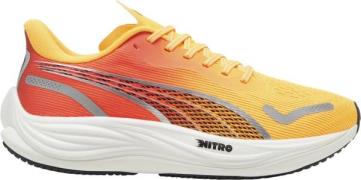 Puma Velocity Nitro 3 Fade Løbesko Mand Orange Træningssko & Sneakers ...