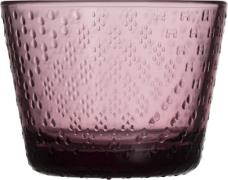 Iittala Tundra Drikkeglas 16cl Calluna 2 stk Lilla - Vandglas hos Maga...