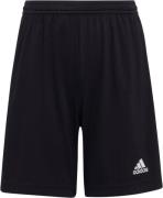 adidas Entrada 22 Shorts 128 - Træningsshorts hos Magasin