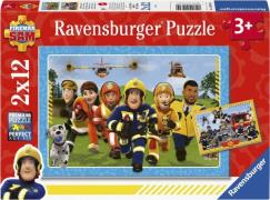 Ravensburger puslespil Ravnsburger 2x12 Brik ass - Puslespil hos Magas...