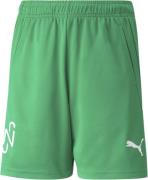 Puma Neymar Jr Copa Shorts 128 - Træningsshorts hos Magasin